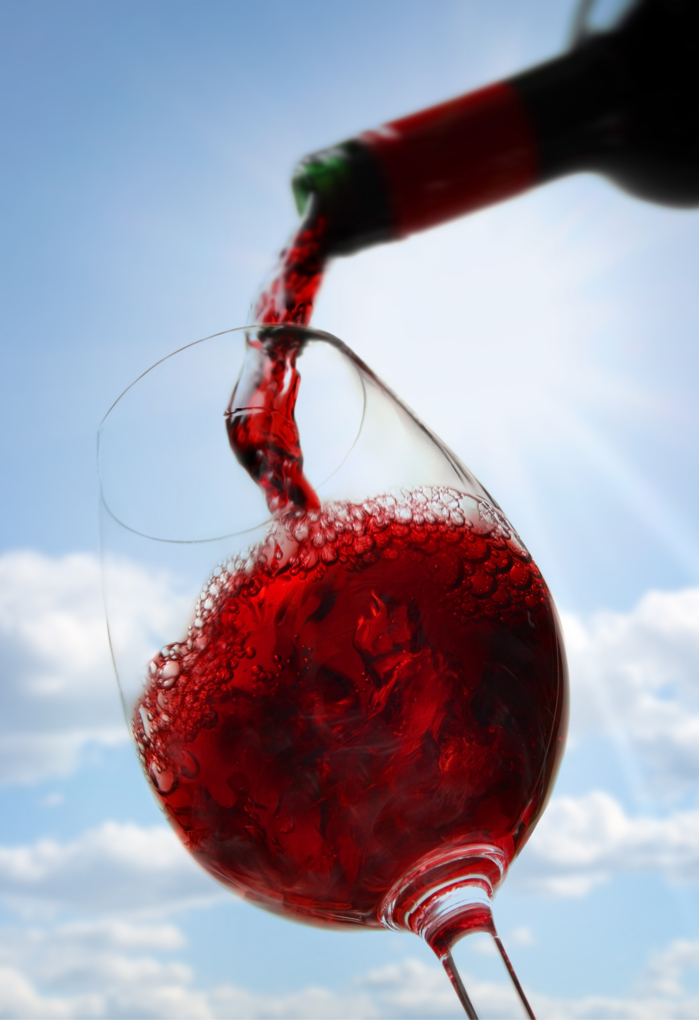 Montanari Wine - Vini Montanari — foto 8